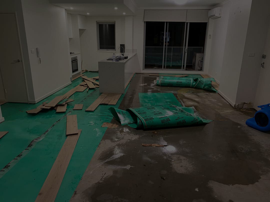 Wet carpet drying in Sydney apartment